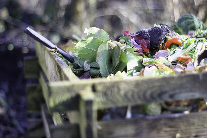 Start composting now in a simple way